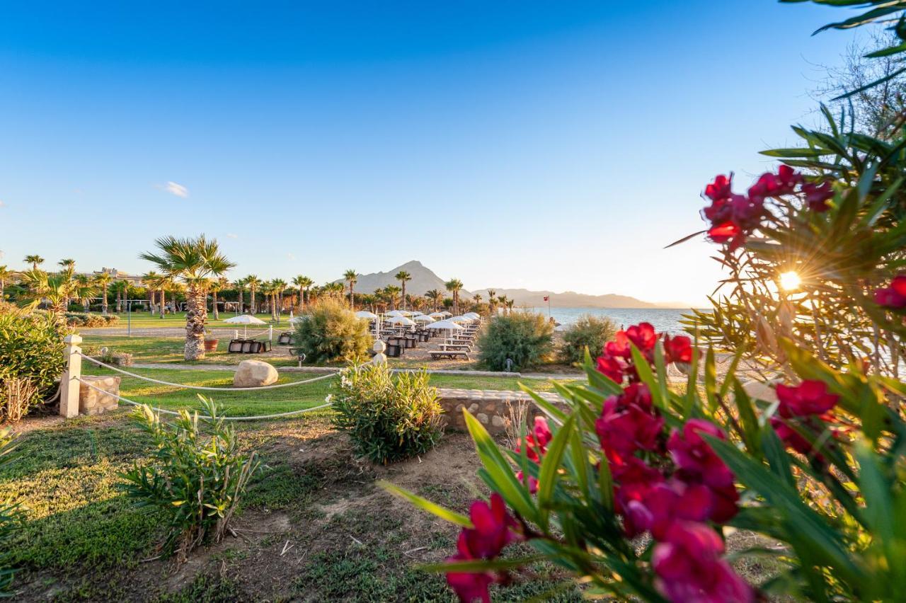Acacia Resort Parco Dei Leoni Campofelice Di Roccella Esterno foto