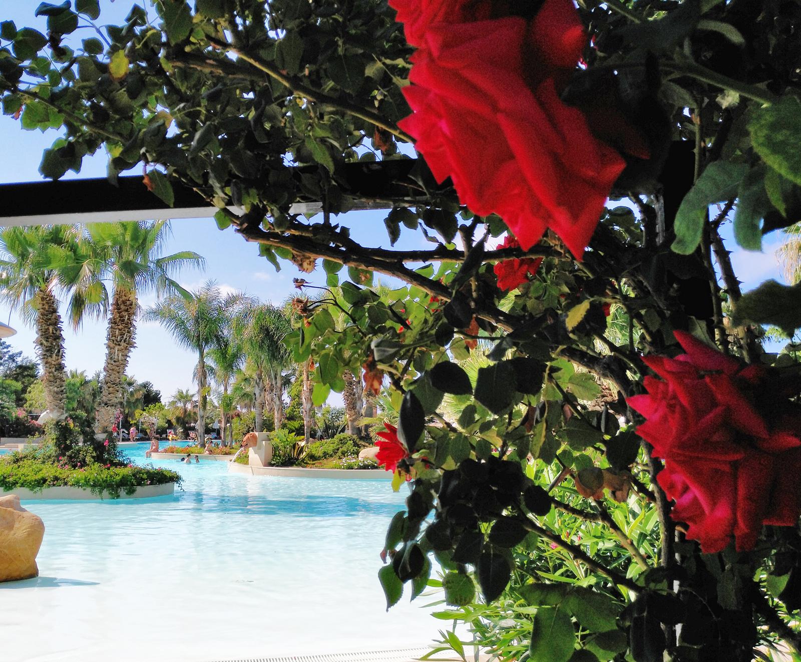 Acacia Resort Parco Dei Leoni Campofelice Di Roccella Esterno foto