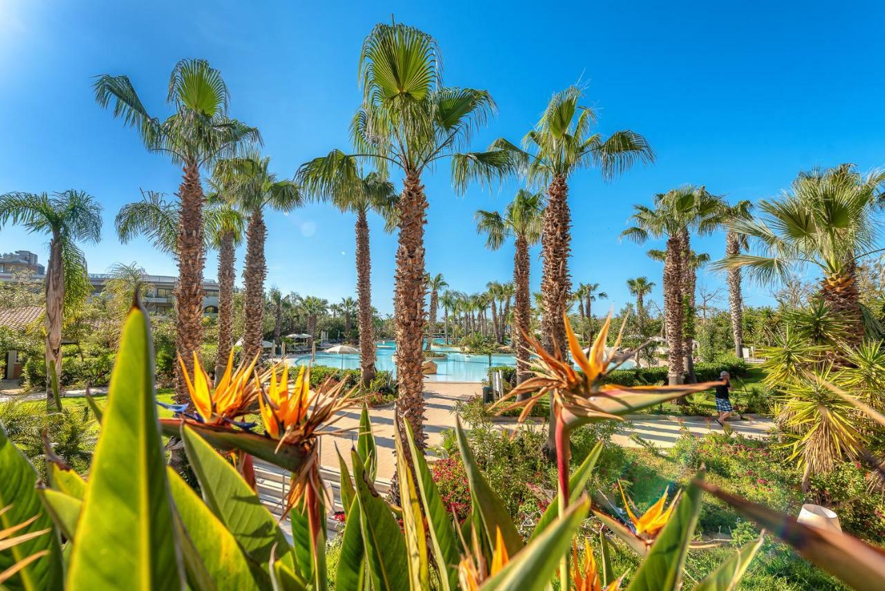 Acacia Resort Parco Dei Leoni Campofelice Di Roccella Esterno foto